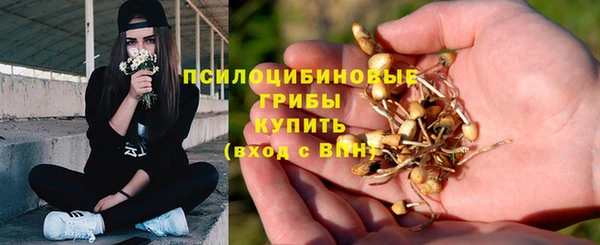 винт Балахна
