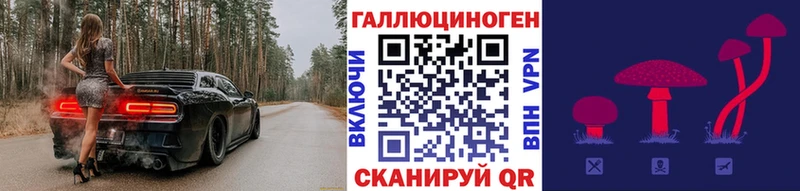 Галлюциногенные грибы Cubensis  даркнет сайт  Новосокольники 